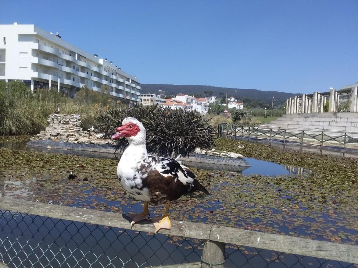 Atlantic Beach-Side Apartment Фігейра-да-Фош Екстер'єр фото